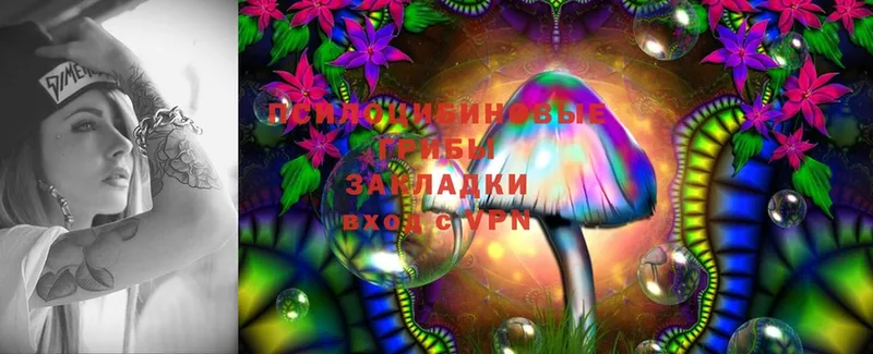 Галлюциногенные грибы MAGIC MUSHROOMS Нижняя Салда